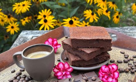Die BESTEN fudgy Low Carb Brownies ohne Mehl